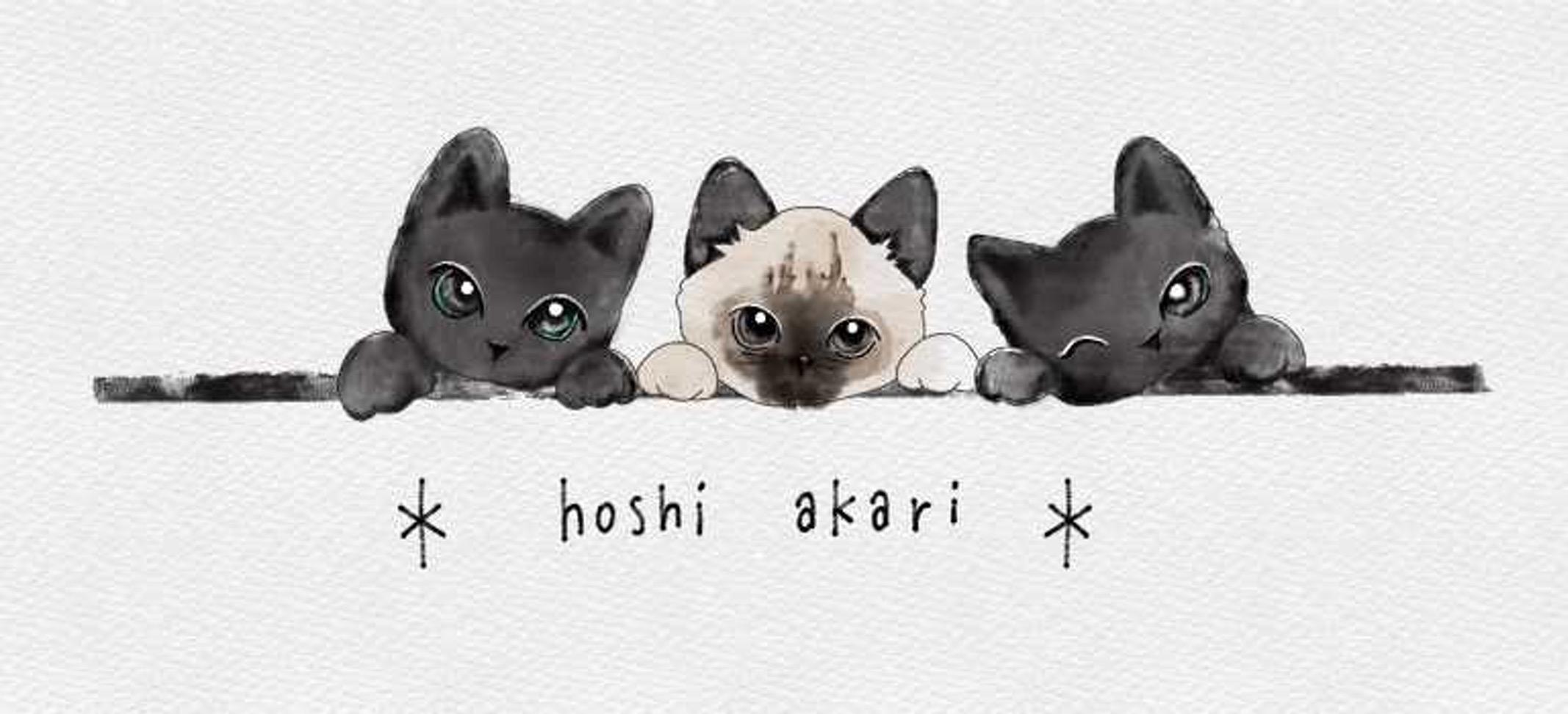 ねことわたしのお菓子のお店 星あかり